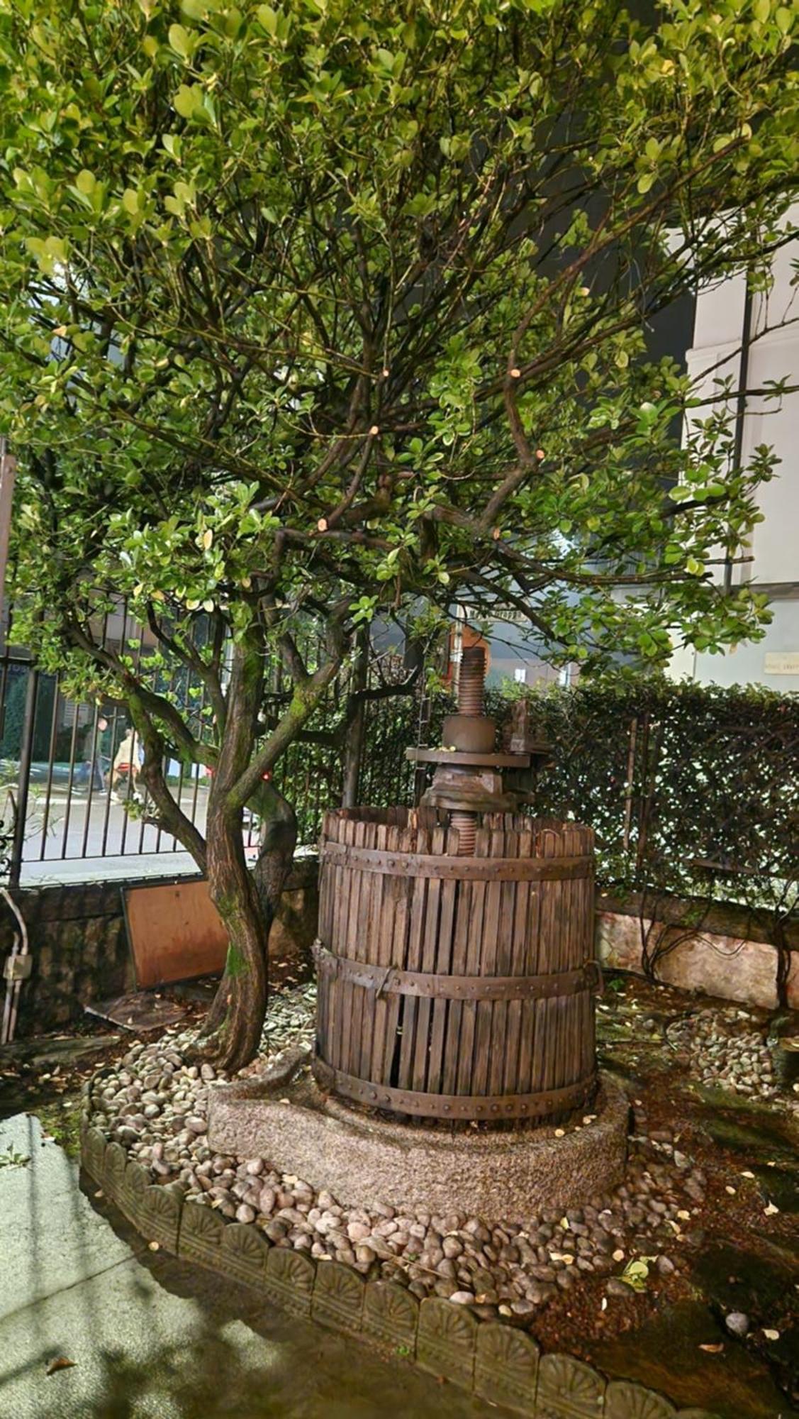 Villa Cavalleri Gattinara Esterno foto